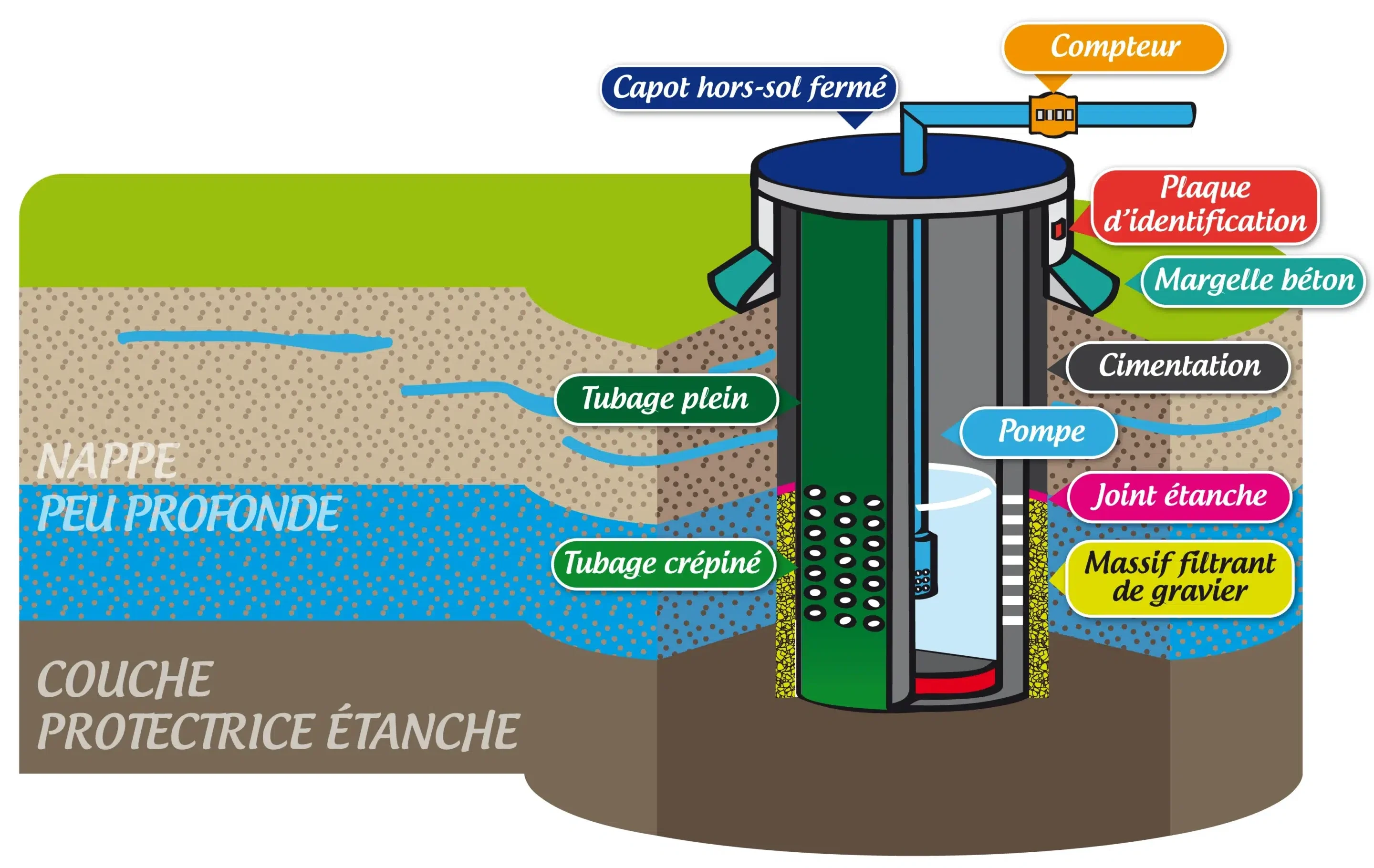 foragepeuprofond scaled e1770118963466