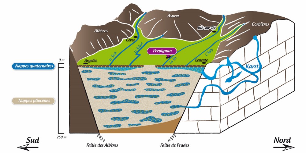 plaine roussillon coupe x1000 