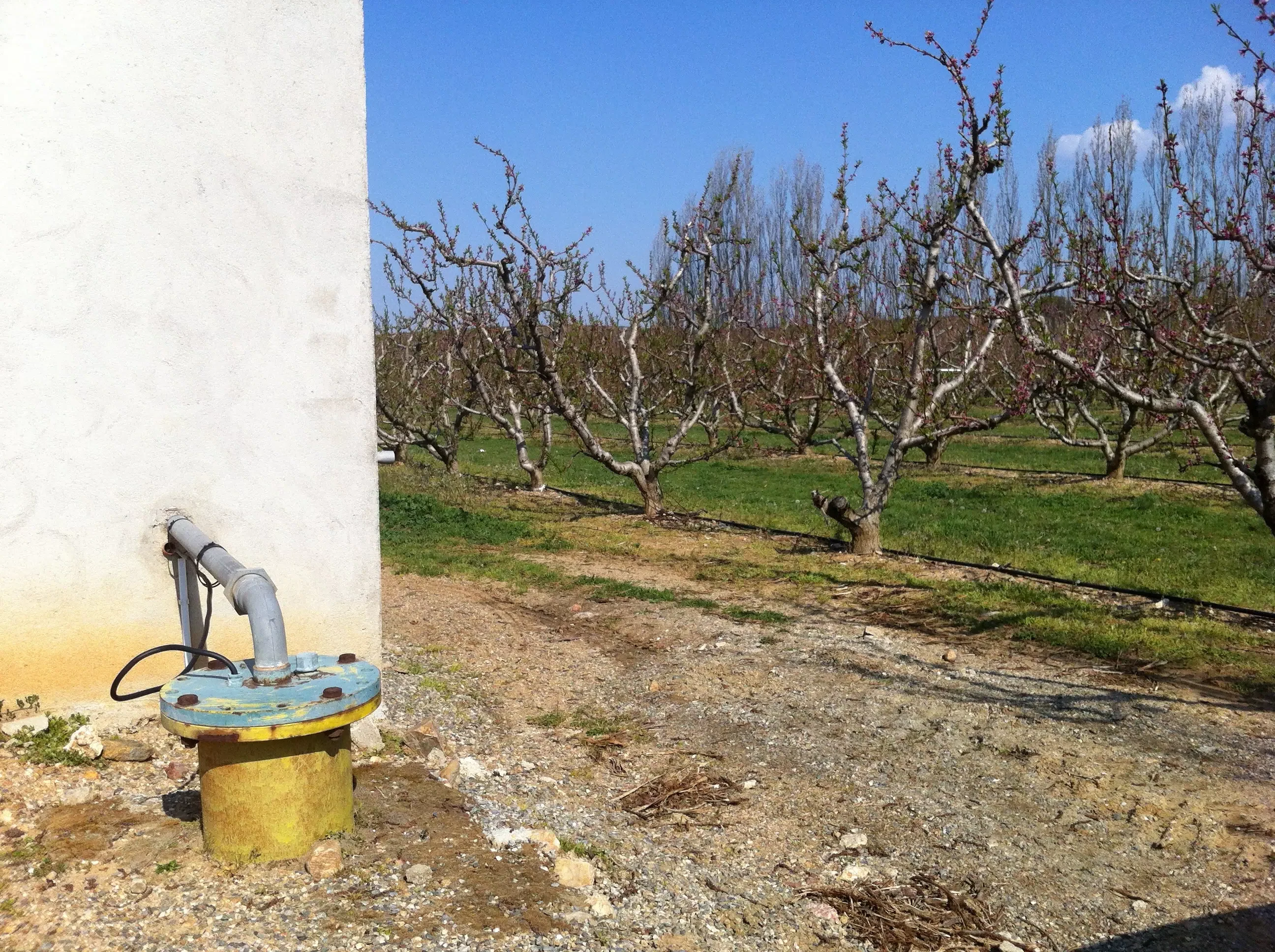 forage agricole e1771253251162